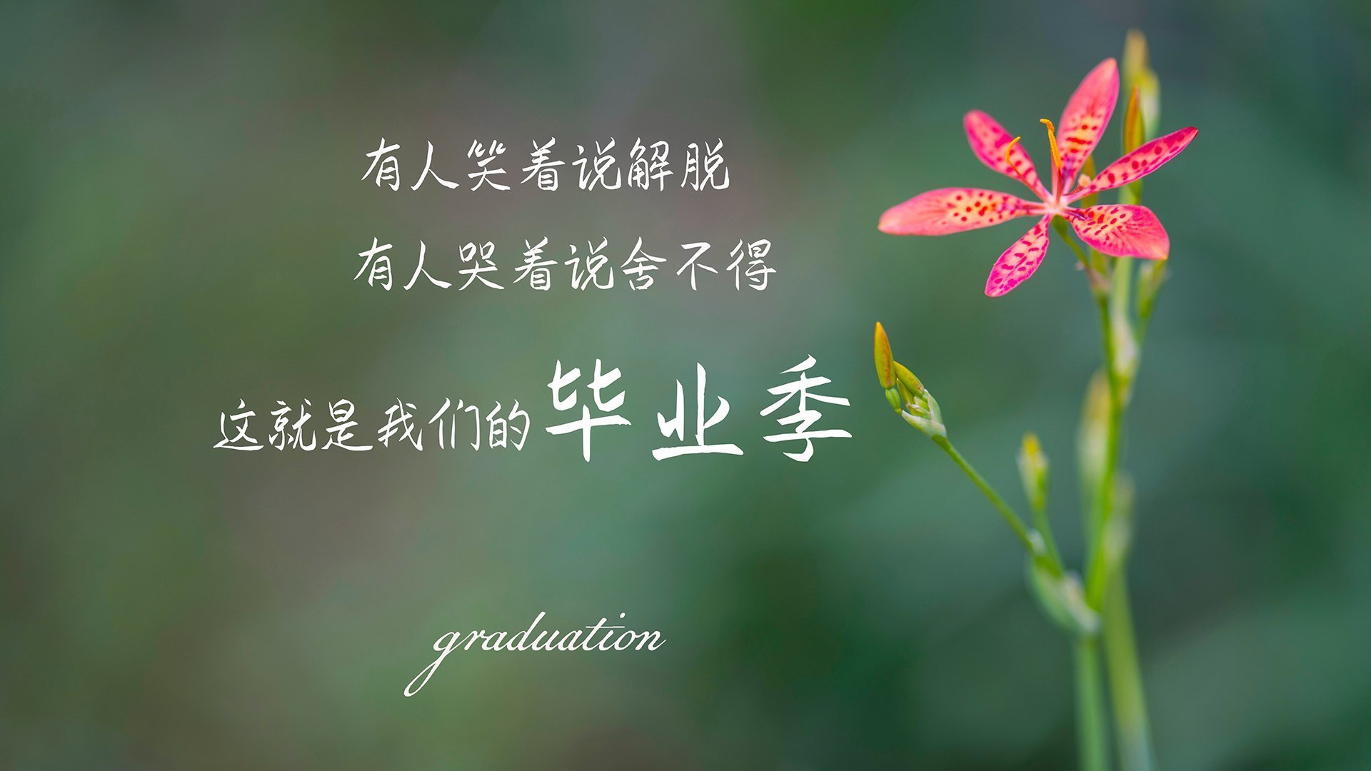 Kaiyun官方登录入口-中国篮球职业联赛市场营销策略分析与实践，篮球俱乐部市场营销计划