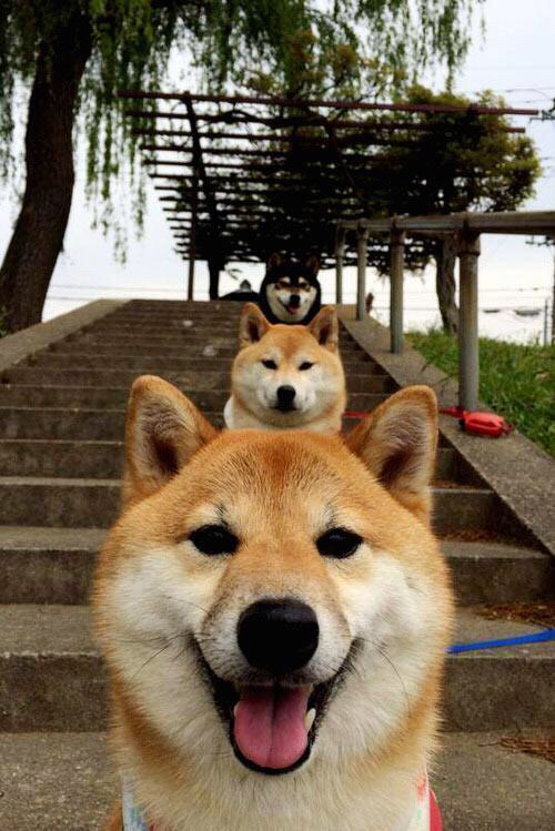 开云体育中国官网-压哨进球模式在争冠球队中的心理意义分析,压哨进场什么意思  第2张 开云体育中国官网-压哨进球模式在争冠球队中的心理意义分析,压哨进场什么意思  第2张