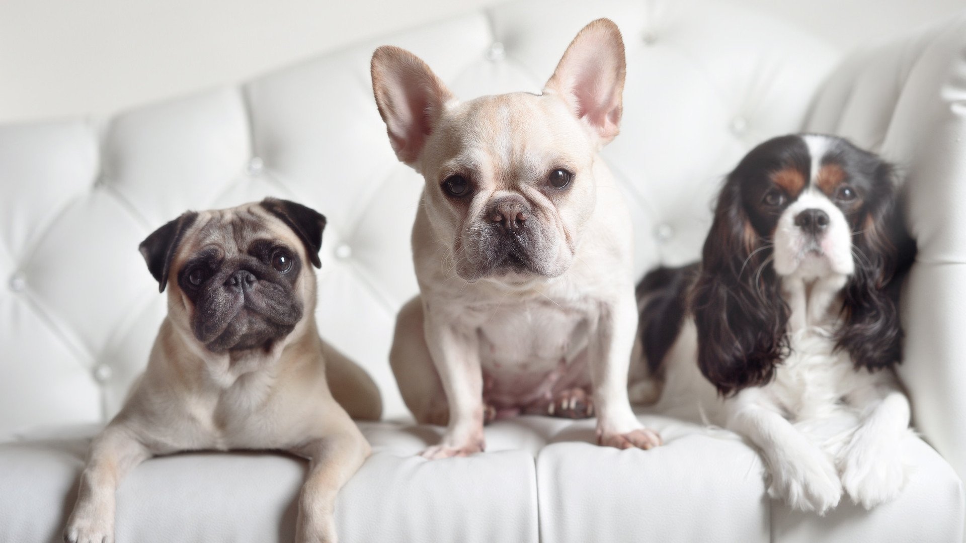 开云网站-外教战术风格不适应国情，外教战术风格不适应国情怎么办